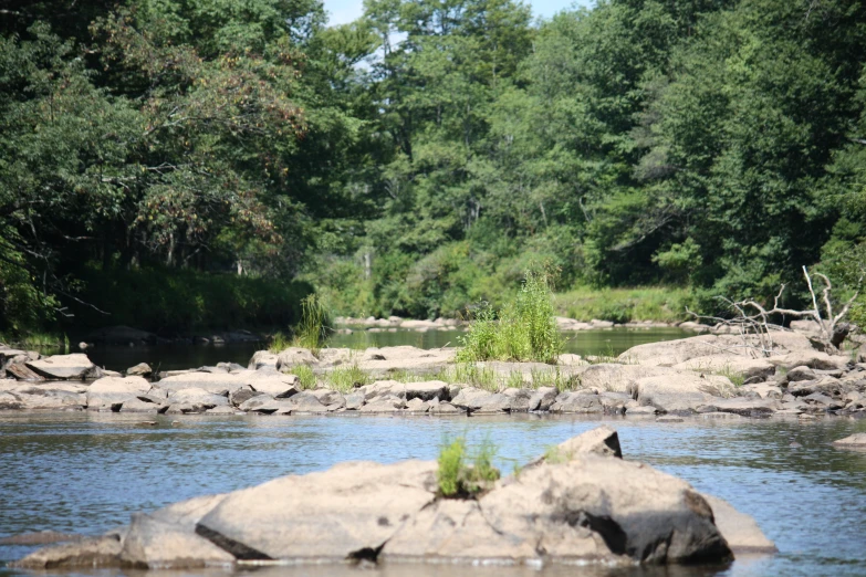 an elephant is sitting on top of rocks by the water