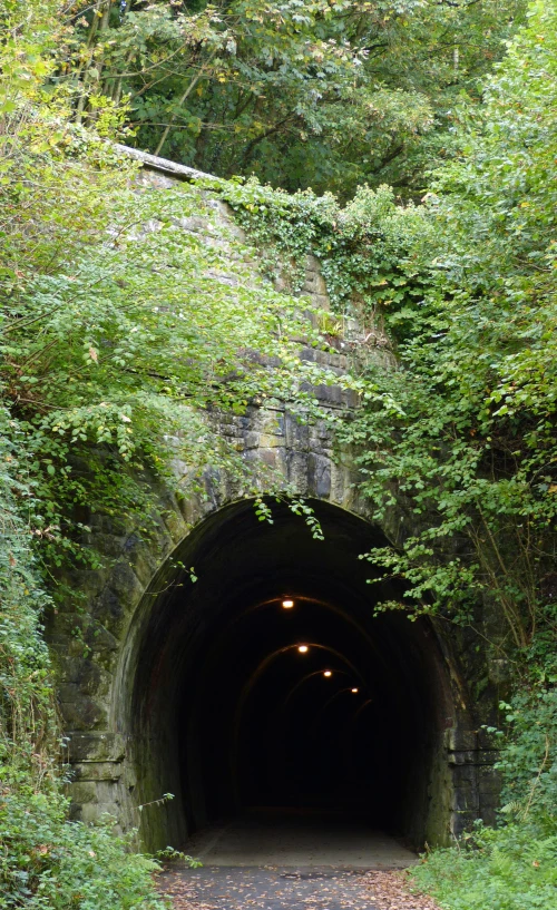 a tunnel is built to allow people to explore