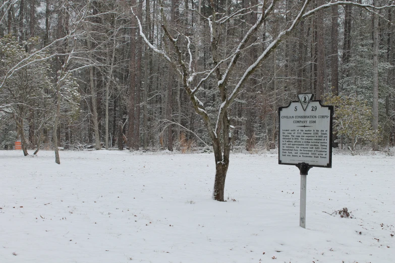 a sign is out in the snow by a tree