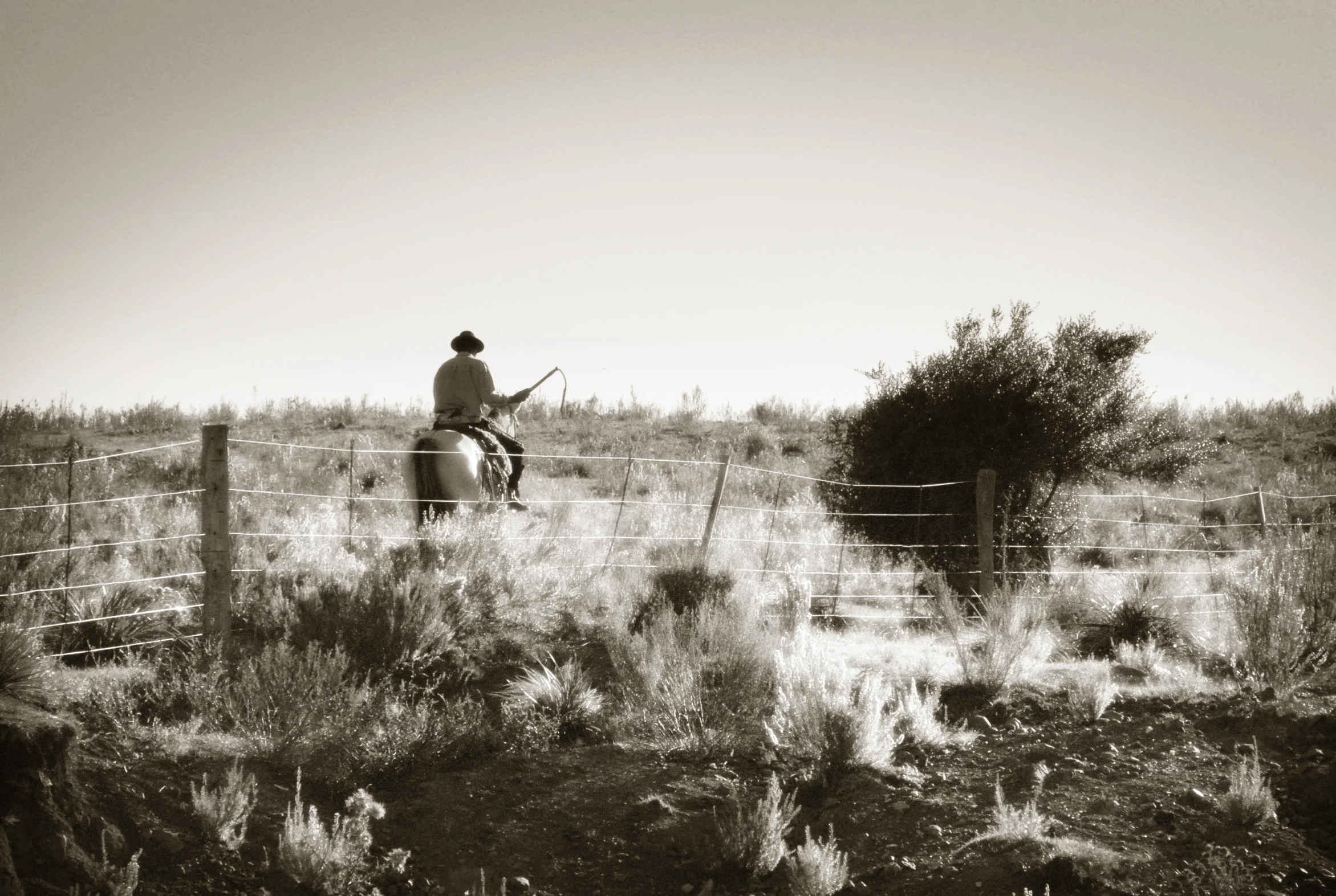 a man on a horse running down a hill