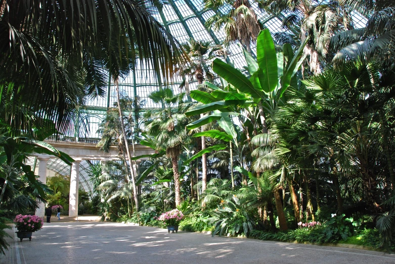 some bushes plants and trees and a walkway