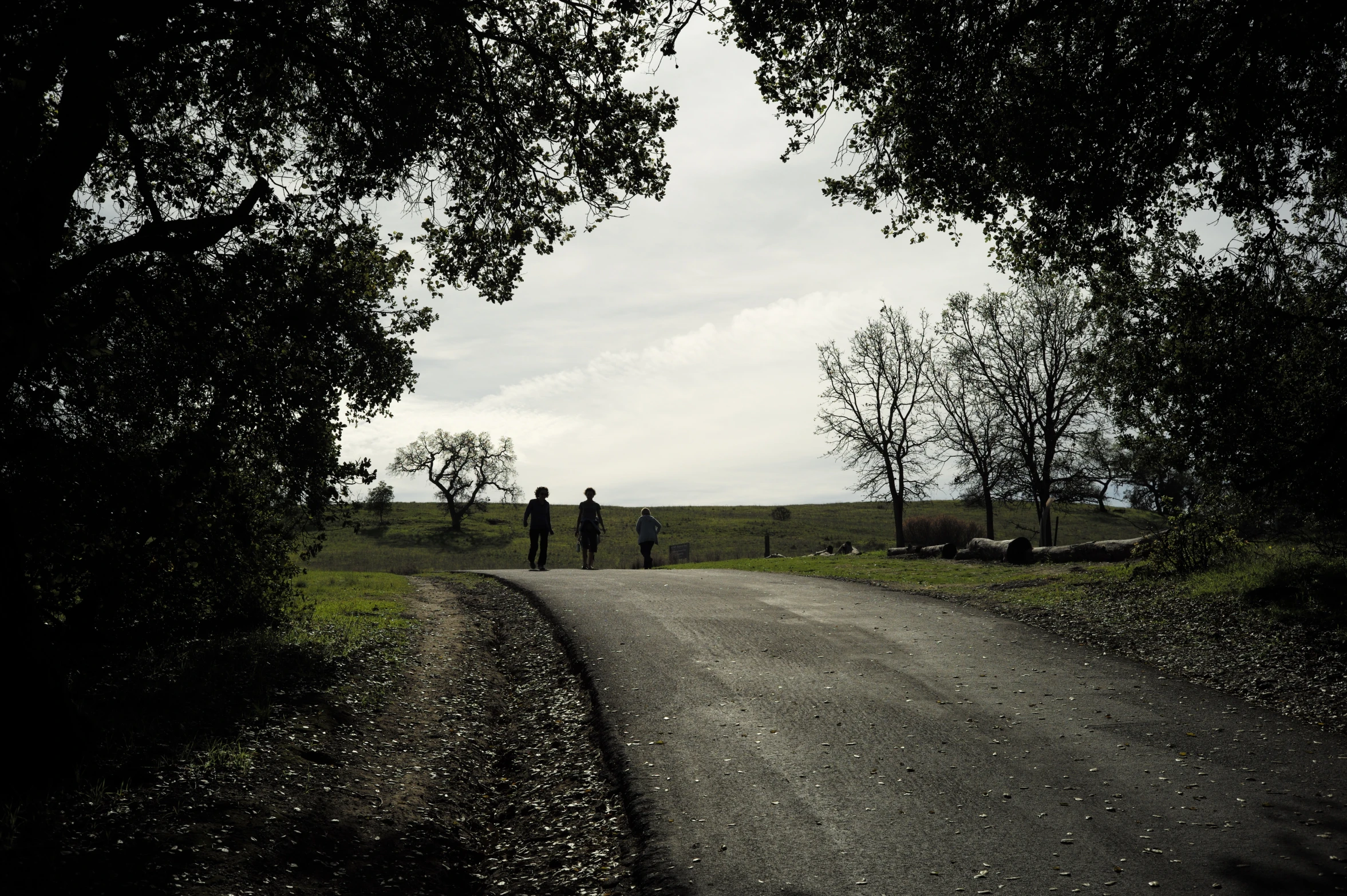 two people stand at the end of a dirt road under some trees