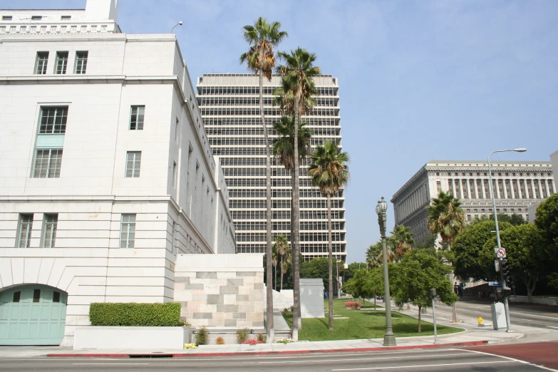 the palm trees have grown on top of the buildings