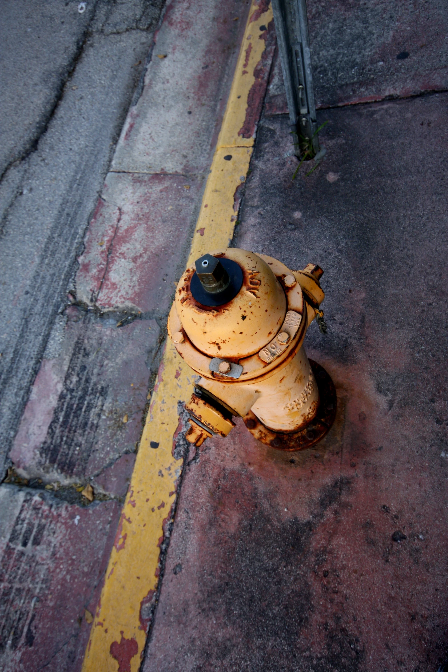 yellow and black fire hydrant on a street corner