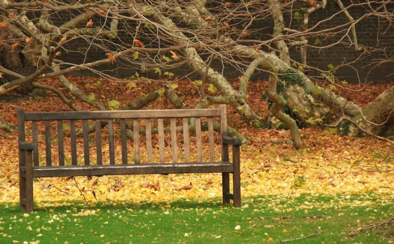 an empty park bench sitting by the woods