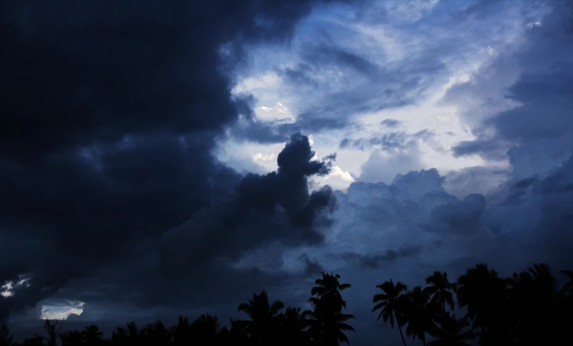 a group of palm trees with dark sky in the background