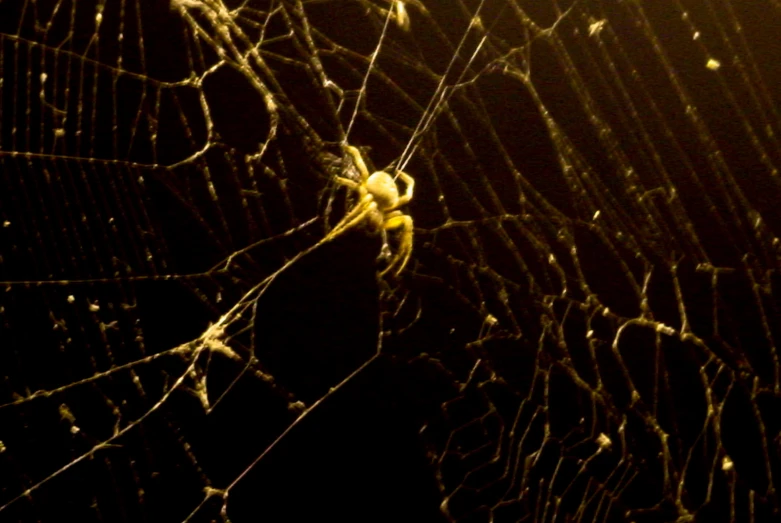 large spider web in darkness with yellow light