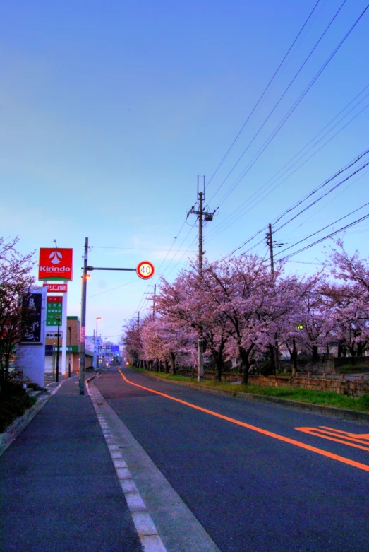 the street signs are next to a few flowering trees