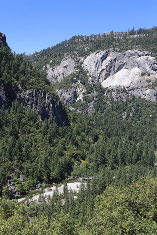 mountain with several trees and hills in the background