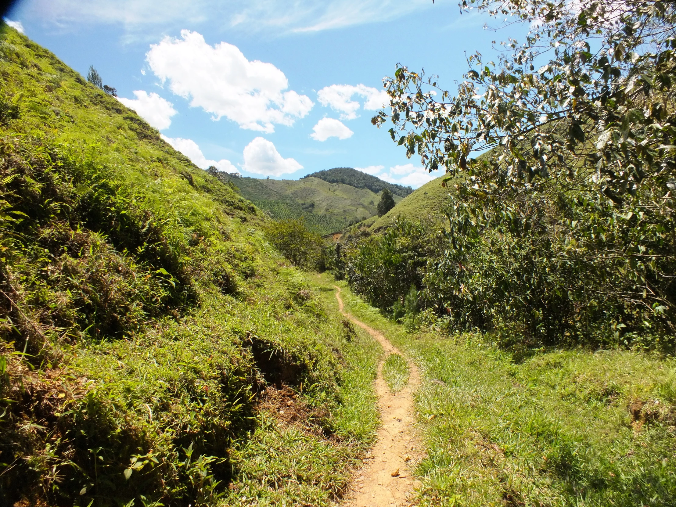 the dirt path leading up a hill on a sunny day