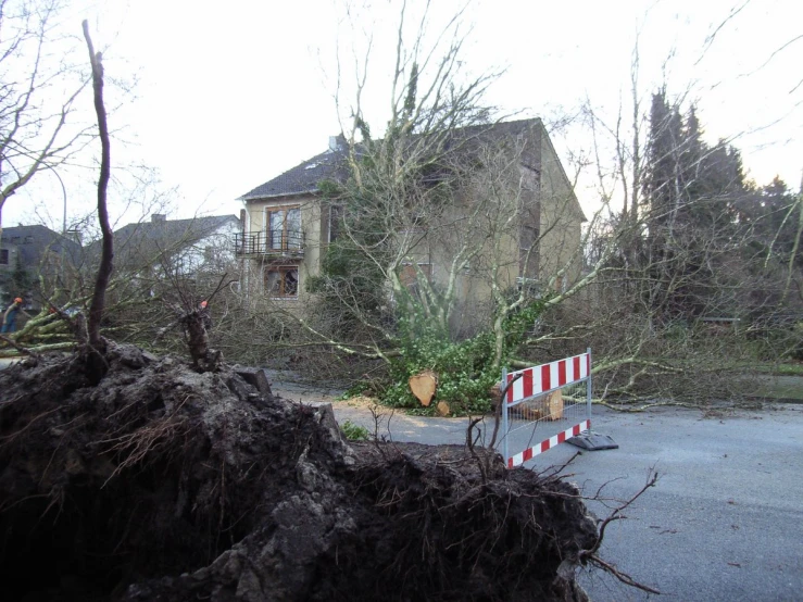 the storm ripped down trees near a house