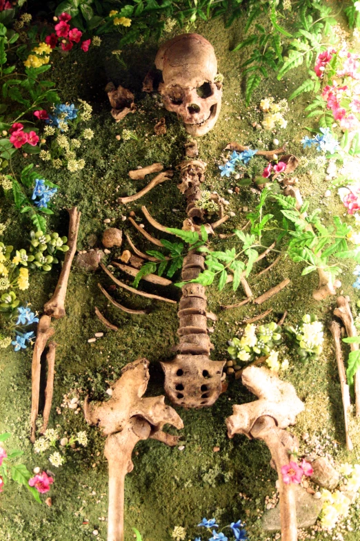 a skeleton sitting in grass and flowers