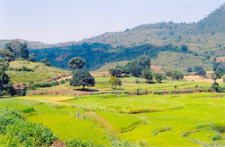 a green field in a country area surrounded by mountains