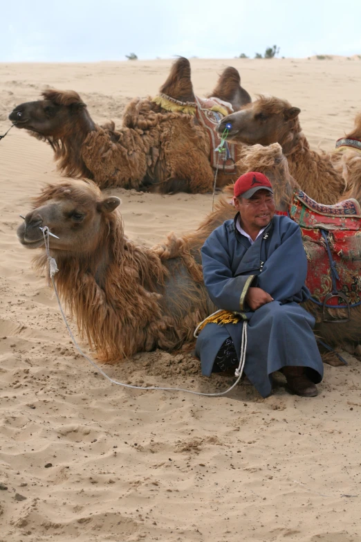 a man sits with his camels on the beach