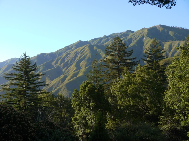 the landscape of the mountain has many trees, and is partly shaded by the blue sky