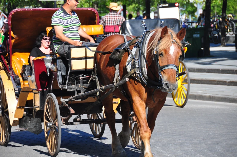 the horse and cart is being carried by a driver