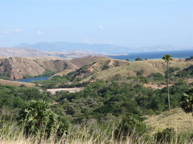 a scenic view of a valley and a lake