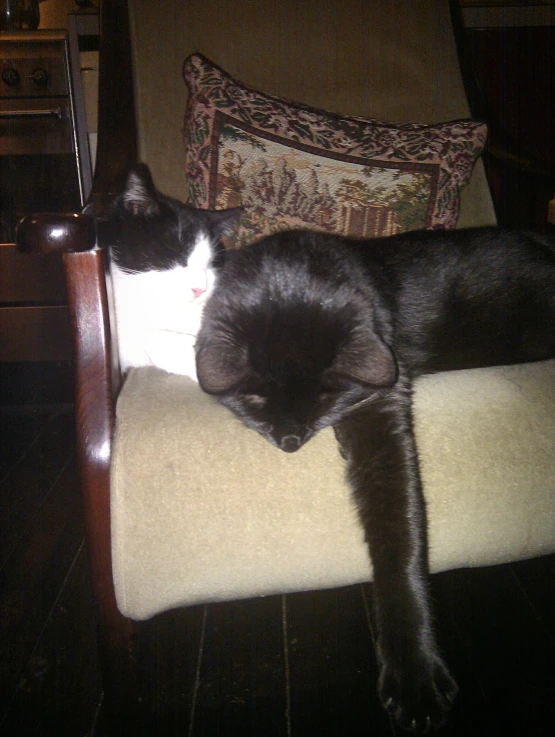 a black cat on top of a chair next to another black cat