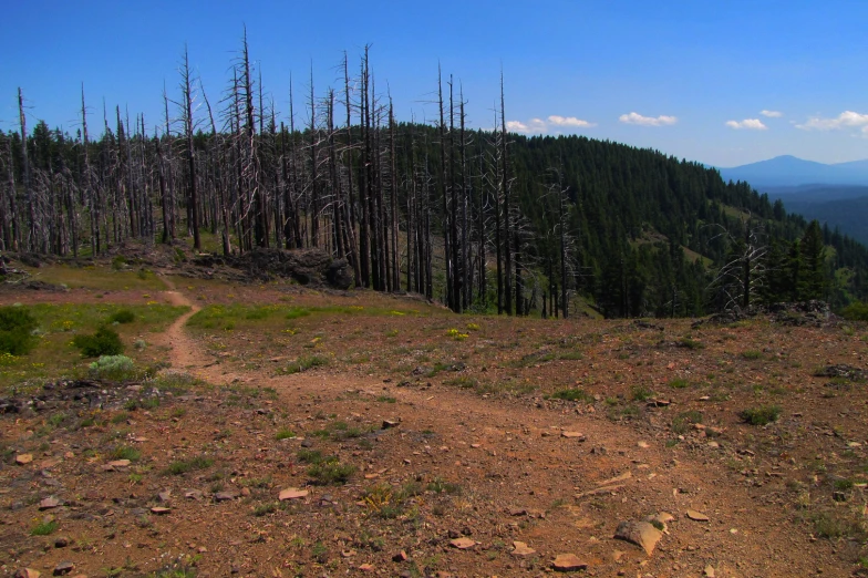 a mountain trail in the middle of nowhere