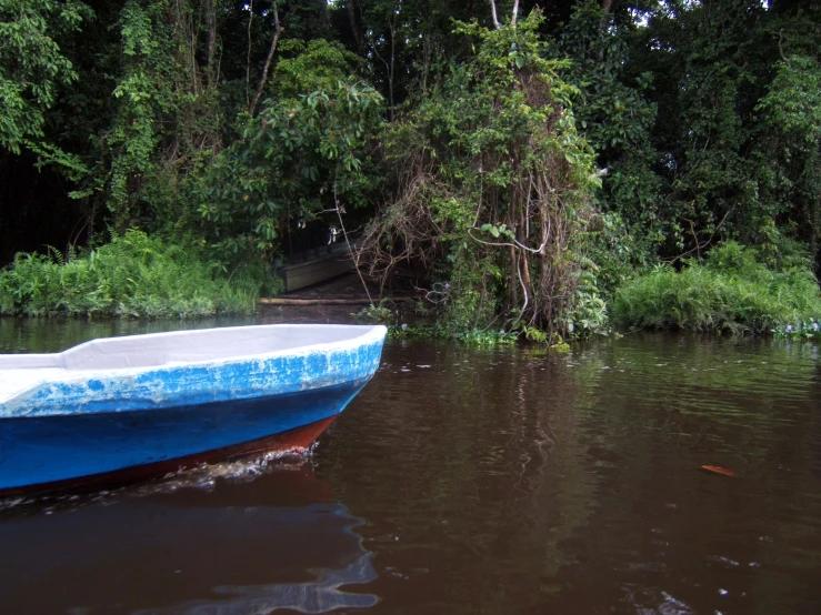 a boat traveling down the river under a canopy of trees