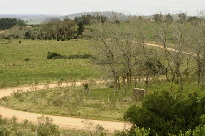 a hilly dirt road winding through trees