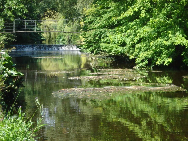 a body of water surrounded by trees and a bridge