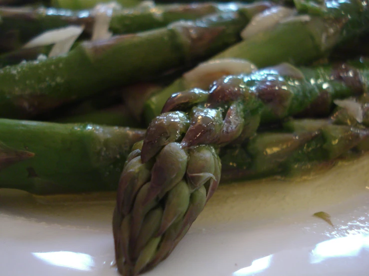 a close up of the stems and pods of some green beans