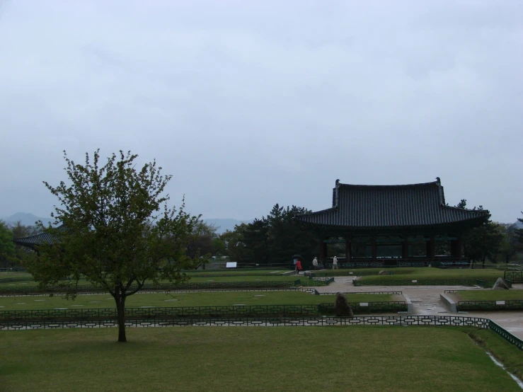 the trees and some people are walking in a park