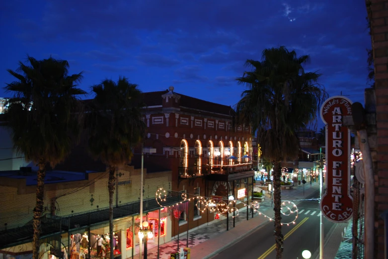 a night time street scene with palm trees and buildings