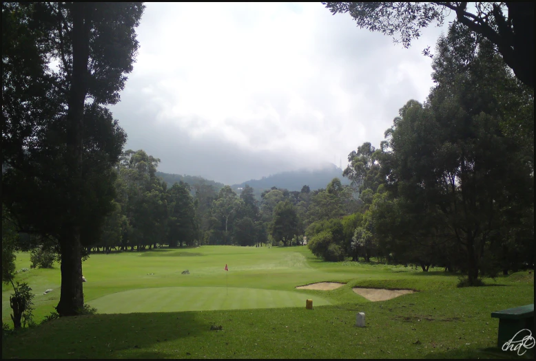 a golf course with a green and a white tee