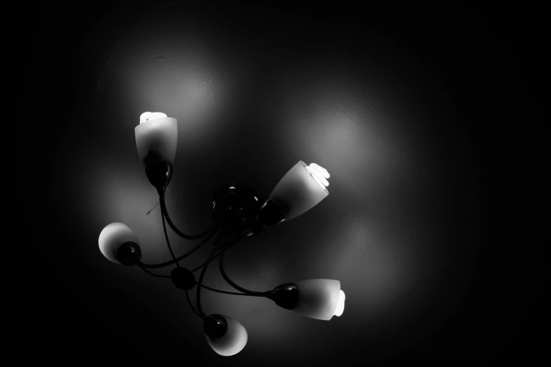 a black and white po of an arrangement of lights on the ceiling