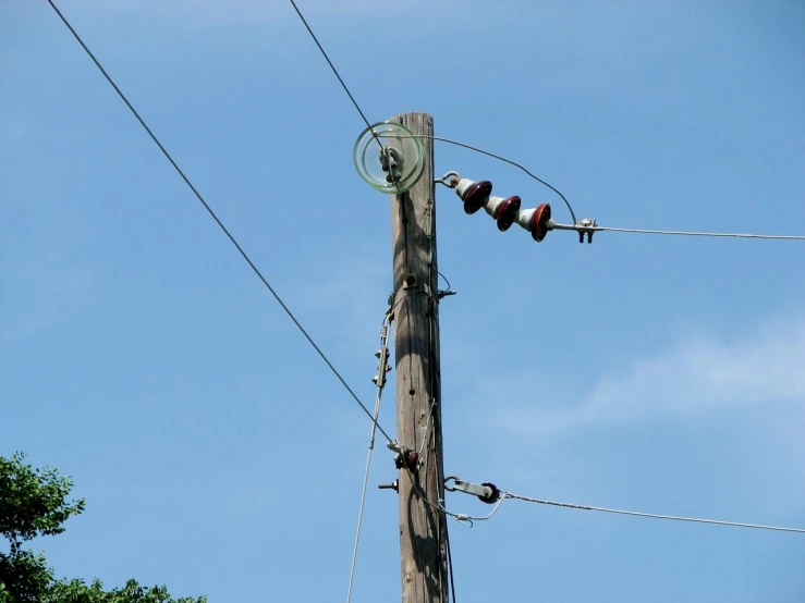 a group of birds sitting on top of a power line