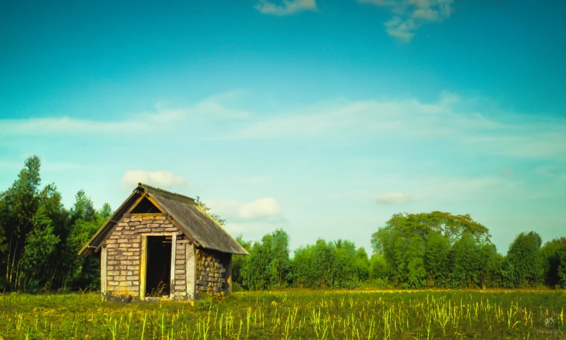 a shack on the side of a rural road