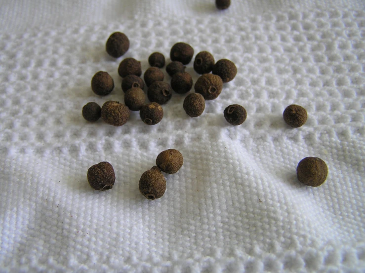 a table topped with lots of dry brown food