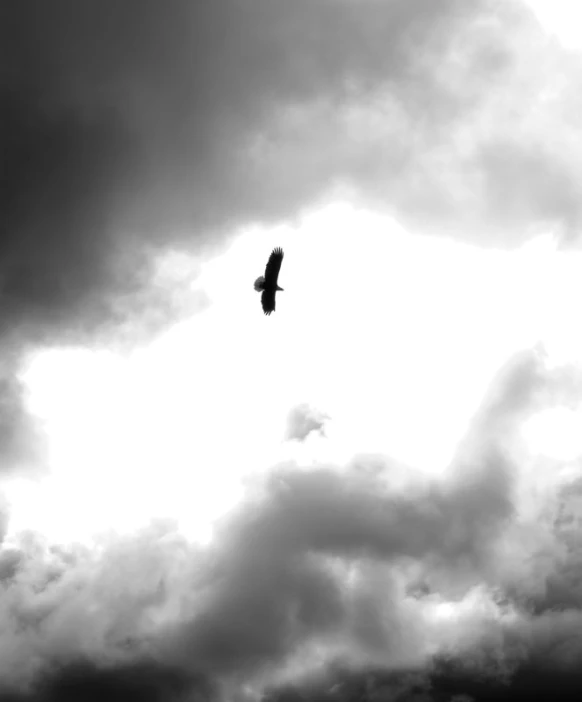 a bird flying through a cloudy sky with black clouds