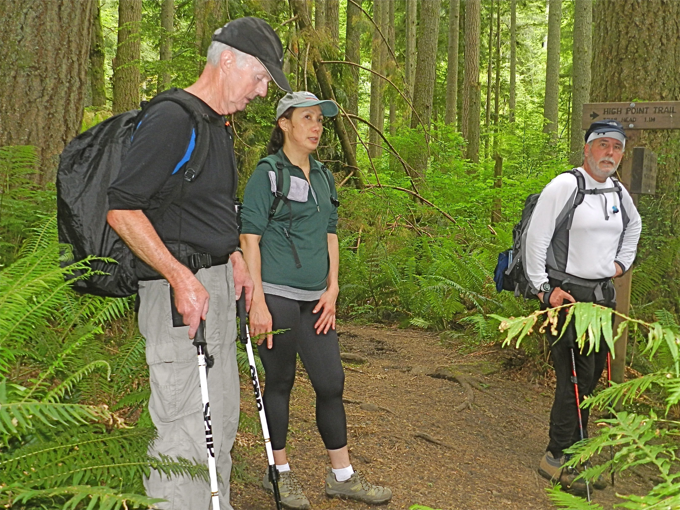 people on the trail that leads to many trees