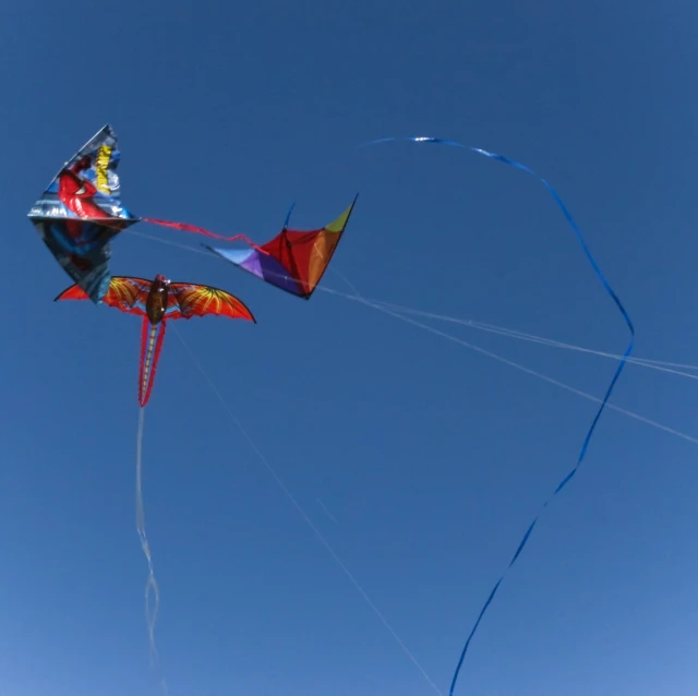 colorful kites are flying in a blue sky