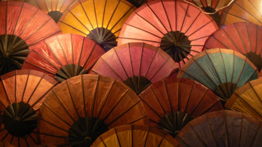 many different colored umbrellas lined up together