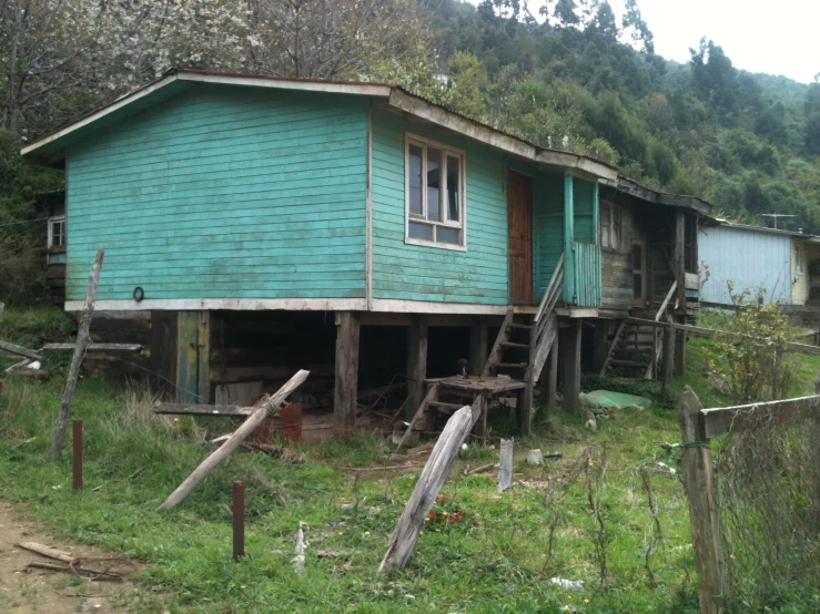 a blue house in the middle of the woods