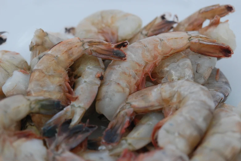 cooked shrimp in a pile on a white table