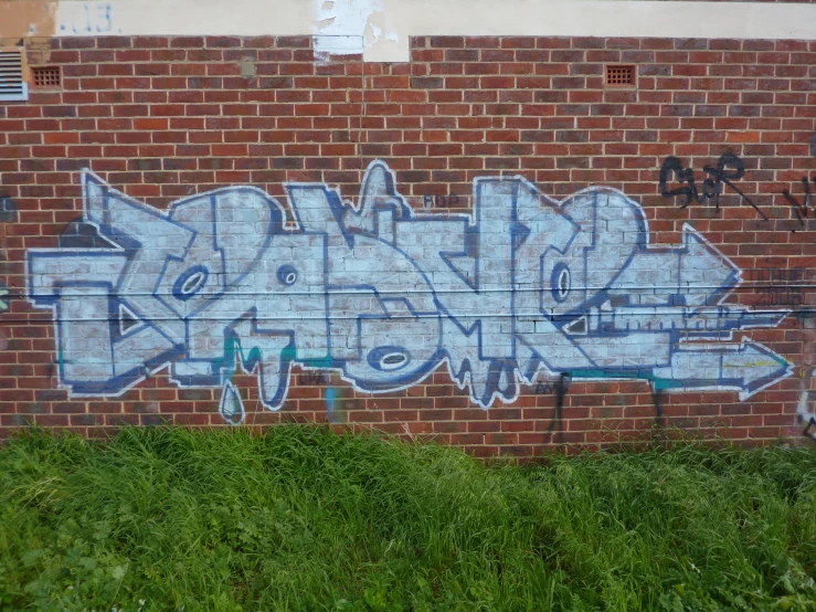 graffiti written on the brick wall behind grass