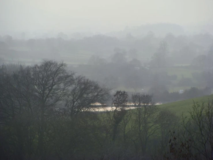 mist covering trees, water and fields in the distance