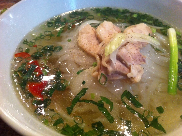 a bowl full of green onion soup with meat