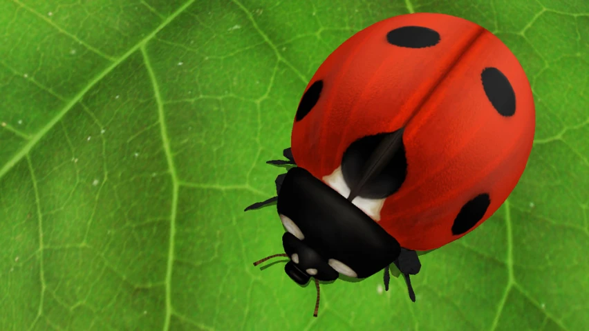 a ladybug is sitting on top of a large green leaf