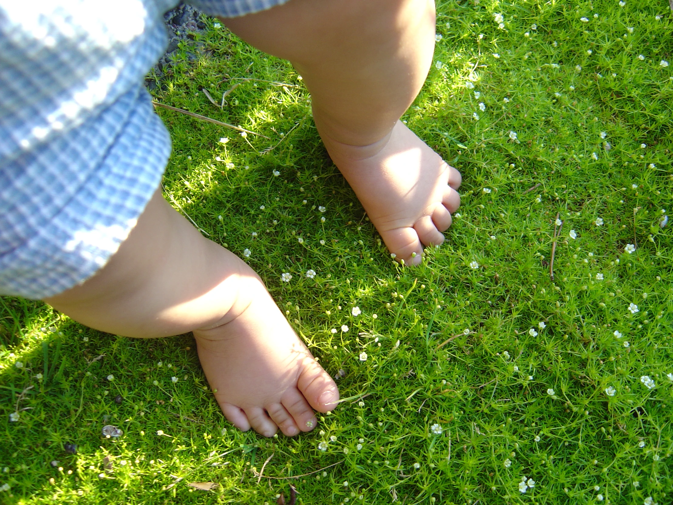 bare feet, with one foot sticking up, standing in the grass