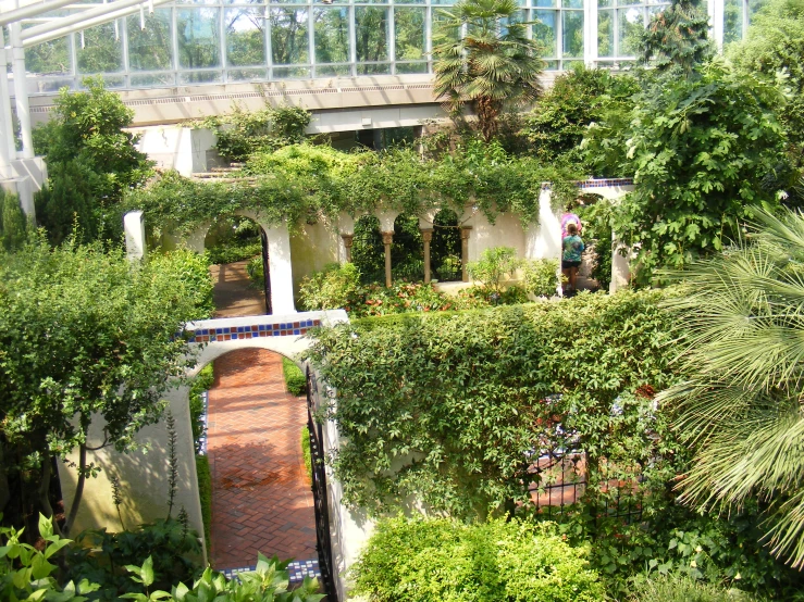 the house is surrounded by lush foliage and trees