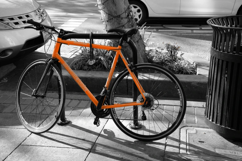 black and white po with orange bike