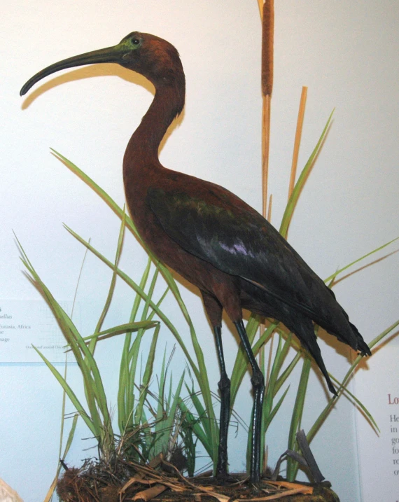 the statue of a bird stands on its nest