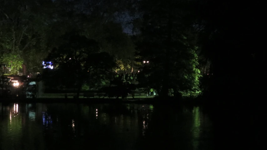 trees line the shore near water at night