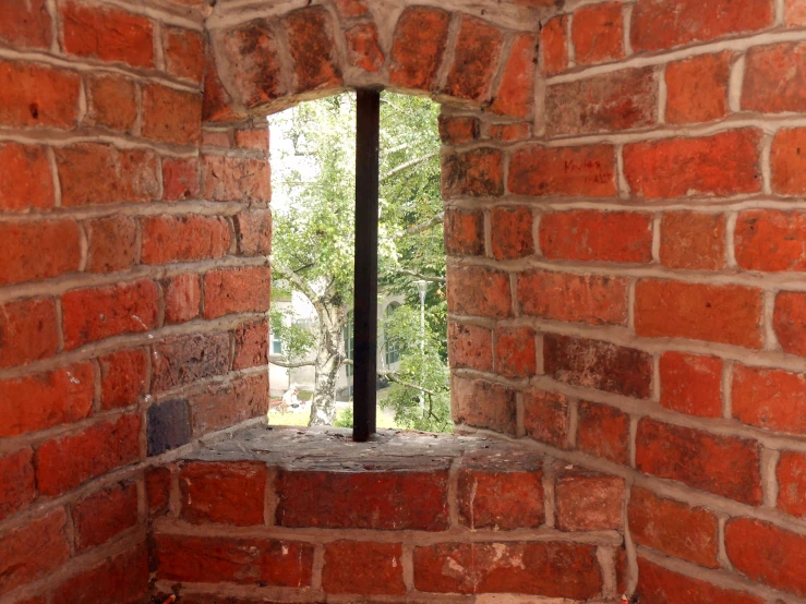 a window frame with trees behind it